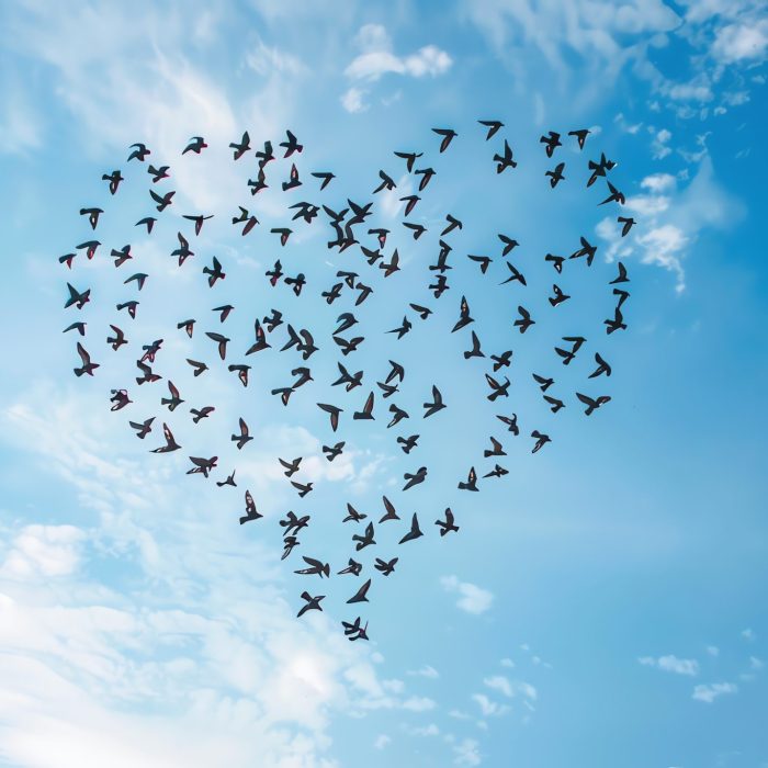Birds fly heart shaped on blue sky, AI generated image